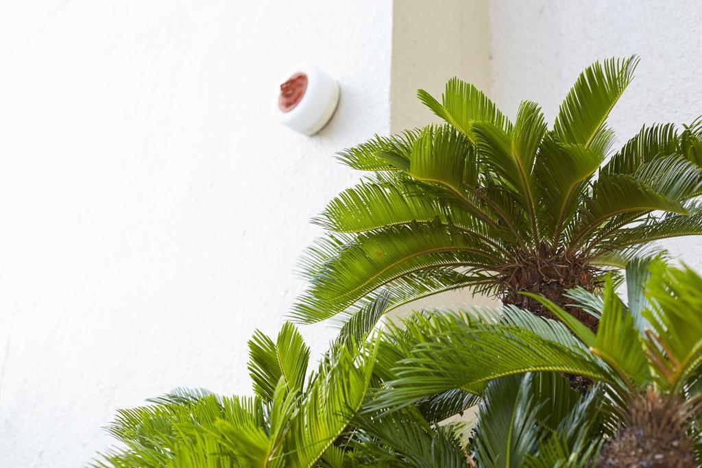 Okinawa Sun Plaza Hotel Наха Екстериор снимка